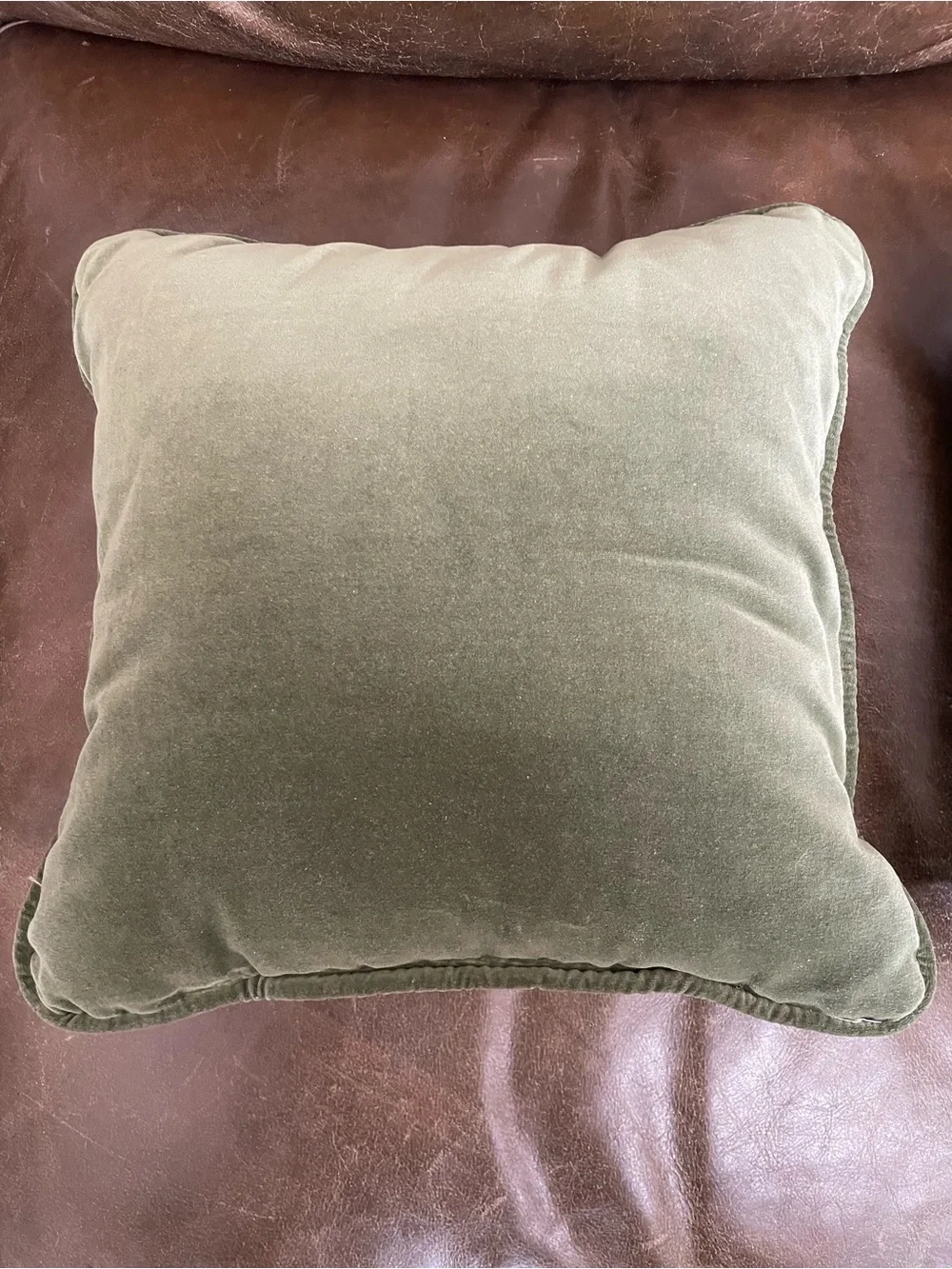 Green Velvet Green “Season’s Greeting”  Cardinal Holiday Throw Pillow 12”X12”